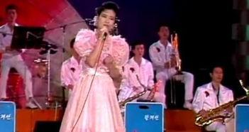 摇篮曲成人歌曲视频,跨越时空的温馨旋律，成人视角下的经典重现