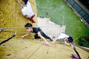 成人攀岩图文介绍大全视频,掌握技巧，挑战极限