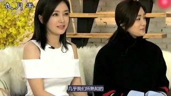 红杏成人午晚视频,揭秘激情瞬间，感受视觉盛宴