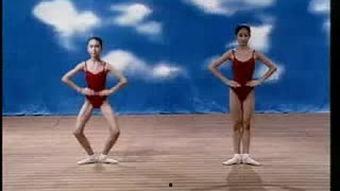 成人舞蹈后踢腿视频,揭秘成人舞蹈后踢腿的优雅与技巧