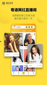 豆奶奶茶视频成人app,揭秘成人APP的神秘世界