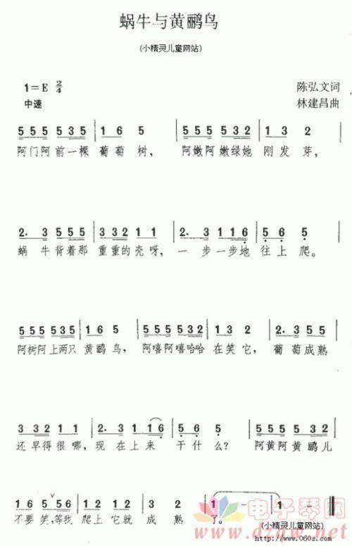 成人电子琴简谱视频,跟随视频教程开启音乐之旅