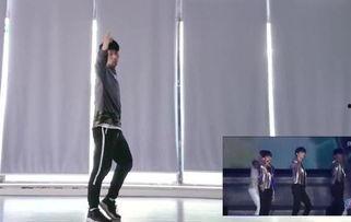 风声舞蹈成人舞蹈视频教学,成人舞蹈视频教程深度解析