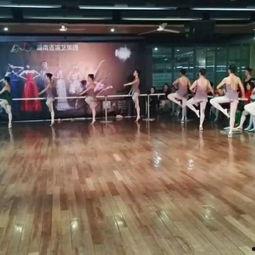 风声舞蹈成人舞蹈视频教学,成人舞蹈视频教程深度解析