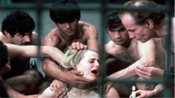 成人禁片视频在线播放,在线播放背后的秘密与风险