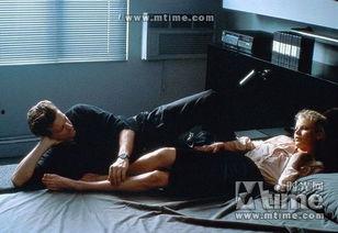 成人禁片视频在线播放,在线播放背后的秘密与风险