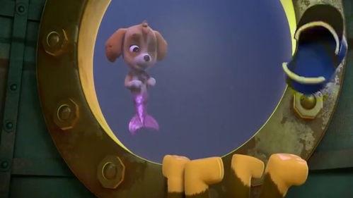 木鱼变成人鱼了吗视频,变身人鱼的奇幻之旅