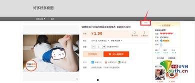 怏猫视频成人,成人内容的独特视角与深度解析