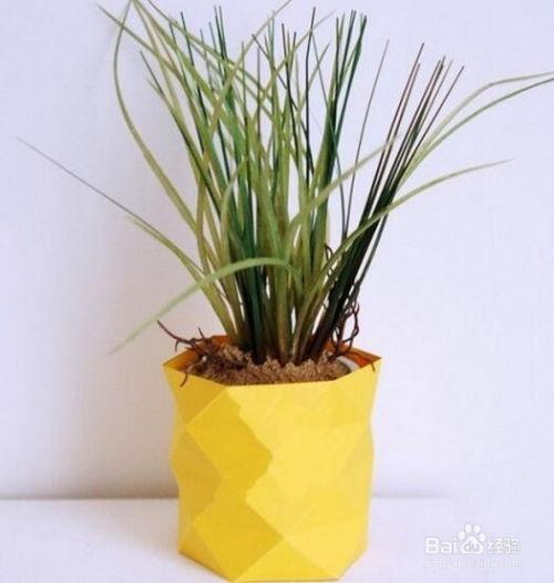 成人手工花盆制作视频,手工花盆制作教程，打造个性家居绿意