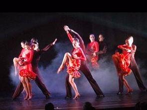 成人彩绸舞蹈视频教程,优雅舞步，绽放魅力