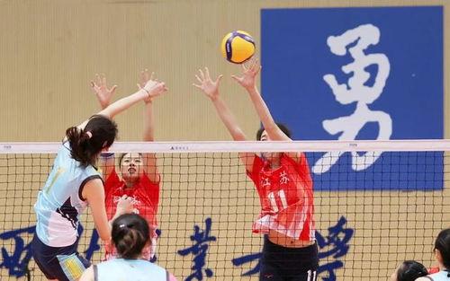 排球成人趣味游戏视频,成人欢乐竞技场精彩瞬间回顾