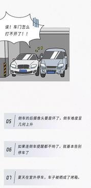 成人开车知识大全视频,知识大全视频精华概述