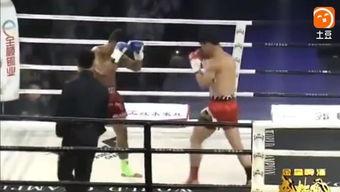 拳击视频成人免费观看,成人观众专享精彩对决
