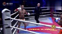 拳击视频成人免费观看,成人观众专享精彩对决