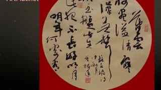 成人书法教学视频行书