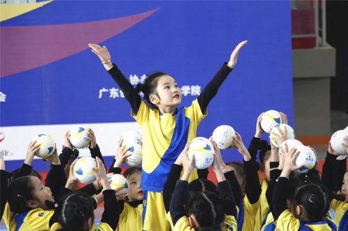 成人手球音乐大全视频下载,成人手球音乐大全视频精选下载攻略