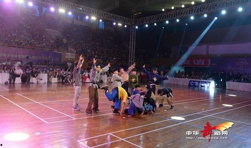 成人手球音乐大全视频下载,成人手球音乐大全视频精选下载攻略