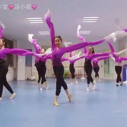 彝族舞蹈成人舞视频大全,传承千年文化韵律