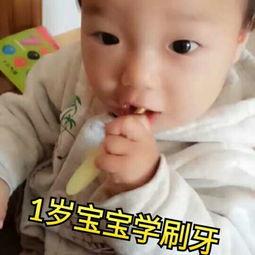 成人刷牙的视频大全播放,成人刷牙视频大全精华回顾