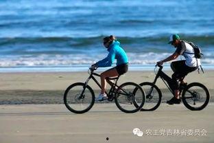 成人单车运动教学视频讲解,轻松入门，健康骑行