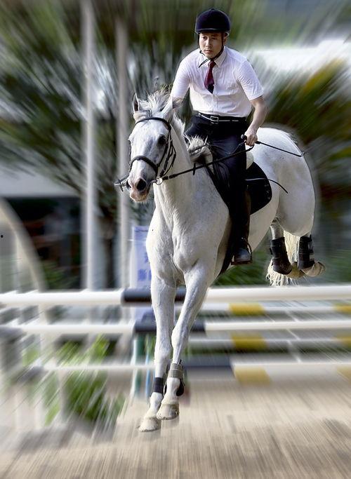 广州成人马术比赛视频  第2张