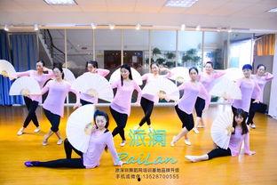 成人芭蕾气质训练视频,成人芭蕾气质训练视频精华解析  第3张