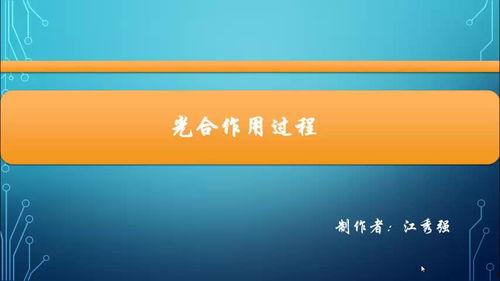 成人生物知识视频教程 第2张 成人生物知识视频教程 第2张