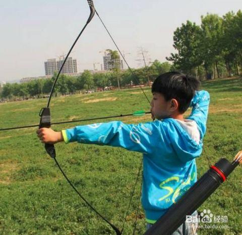 成人弓箭射猎教学视频全集,从入门到精通的全方位指南