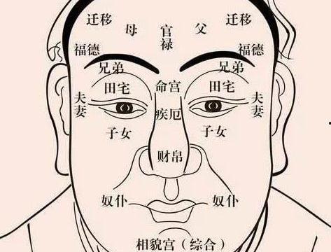 面相成人教学视频  第2张