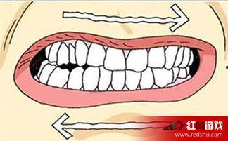 《磨牙》视频成人,成人磨牙现象的成因与应对策略