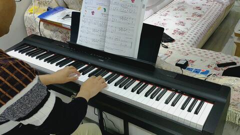 自学钢琴成人方法视频