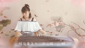 成人合奏古筝唯美视频下载,唯美旋律中的时光流转