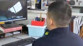 成人胆红素290视频,深度解析健康与疾病的关键指标  第2张