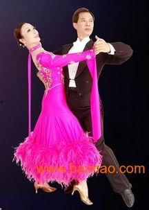 成人国标舞蹈教学视频  第2张