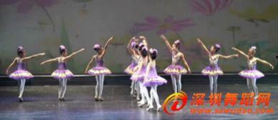 红歌舞蹈成人简单易学视频,轻松学会的成人简易舞步  第1张