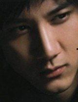 小狼视频成人版,小狼视频成人版深度解析  第3张
