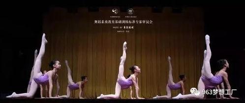 茶园跳舞成人舞蹈视频,成人舞蹈视频展现优雅魅力  第3张