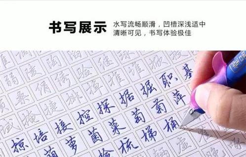 练字成人课件视频大全图片  第3张