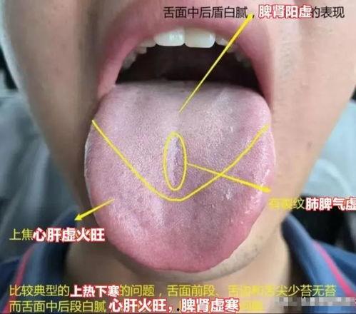 成人洗舌苔视频播放网站  第2张