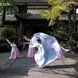 成人丽人行舞蹈视频,丽人行舞蹈视频赏析