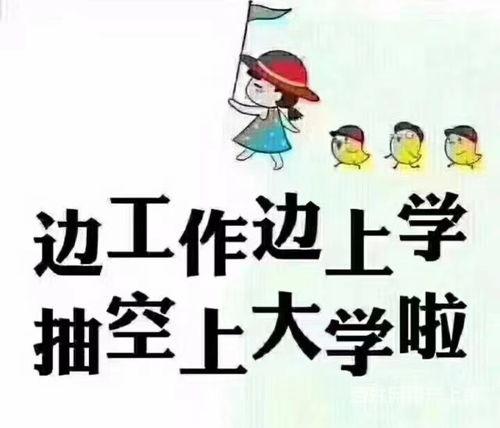 赤峰成人高考视频  第2张